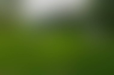 Beautiful abstract design featuring seamless soft color gradients background