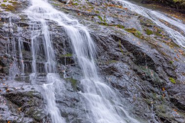 Sonbahar yapraklarıyla yosunlu kayalar üzerinde çağlayan şelale..