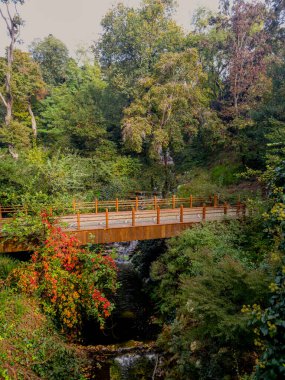 Arka planda ağaçlar olan bir derenin üzerinde köprü. Köprü ahşap ve kırsal bir hissi var. Su berrak ve sakin, ağaçlar gür ve yemyeşil. Huzurlu ve huzurlu bir sahne.