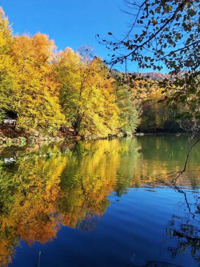 Göl yüzeyine yansıyan güzel sonbahar ağaçları. Açık mavi gökyüzü.