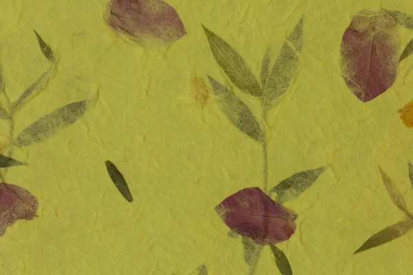 Kağıt doku arka plan