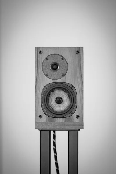 Audio Speaker in Black and White