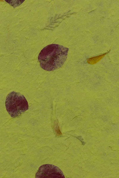 Kağıt doku arka plan