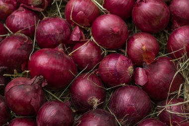 Kırmızı soğan saman üzerinde. Arka plan ve doku