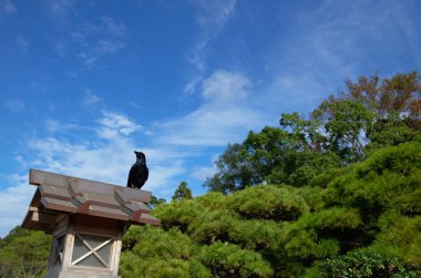 Japon karga lanter İMKB tapınak bahçesinde üzerinde