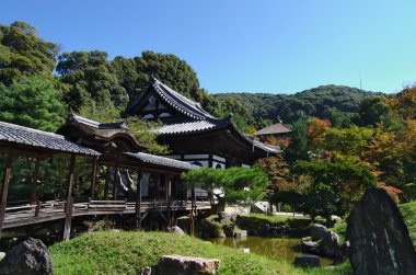 Kaizando Hall'un Bahçe