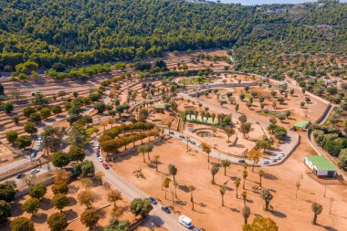 İtalya 'nın Bari kentindeki safari parkının havadan görünüşü. Palmiye ağaçlarıyla beslenen bir zürafa..