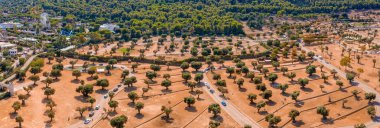 Bari 'deki bir safari parkında insanlar arabayla gezip hayvanları besleyebiliyor. Yukarıdan zürafanın havadan görünüşü.