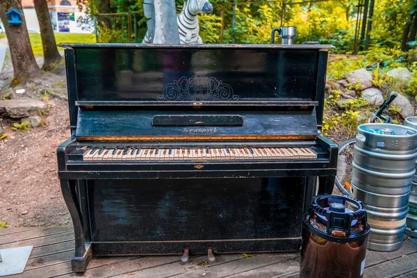 Gran Piano Abandonado Cubierto Hierba Piano Bajada Orillas Del Río — Foto de Stock