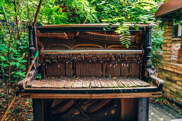 Piano Gran Abandonné Recouvert Herbe Piano Délabré Bord Une Rivière — Photo