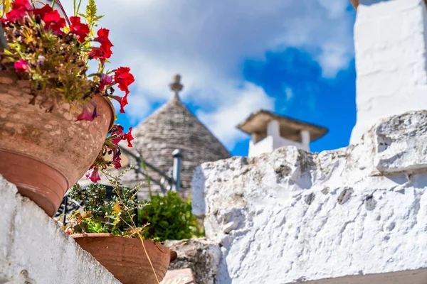 Casas Trulli Tradicionales Alberobello Provincia Bari Región Puglia Italia Hermosa — Foto de Stock