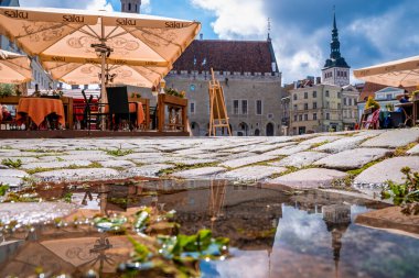 Tallinn, Estonya. 10 Haziran 2020. Tallin Gotik Belediye Binası kışın Estonya 'nın başkentinde gece yarısı ana eski kasaba meydanında. Tallinn, Kuzey Avrupa 'da popüler bir seyahat merkezidir..