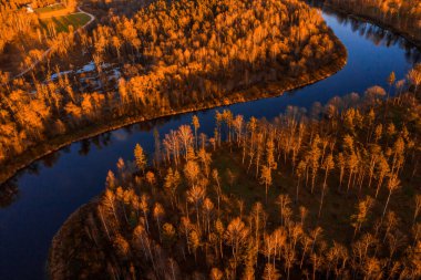 Letonya, Sigulda 'da gün batımında Turaida kalesi ve Gauja nehri havadan görülüyor. Kalenin yanında turuncu orman ve nehirle altın sonbahar.