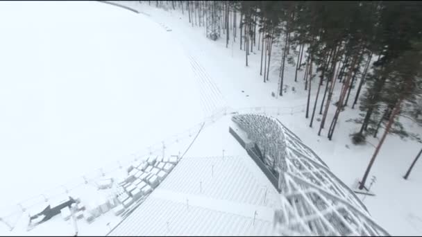 Мальовничий Панорамний Вид Зимовий Ліс — стокове відео