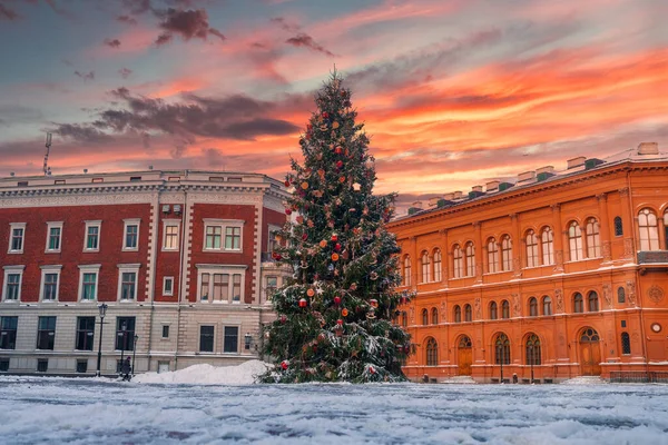 Riga Letónia Árvore Natal Praça Cúpula Com Catedral Cúpula Riga — Fotografia de Stock