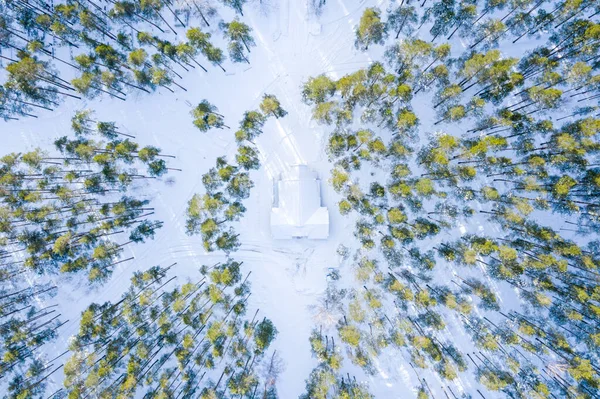 Luchtfoto Van Winter Forest Bedekt Met Sneeuw Drone Fotografie — Stockfoto