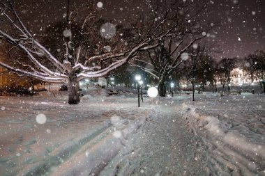 Şiddetli kar fırtınası sırasında geceleyin büyülü kış harikalar diyarı parkı. Romantik kış