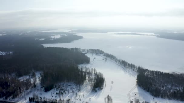 Flygfoto Över Vinterlandskapet Panorama Den Frusna Sjön Mitt Skog Vinterlandskap — Stockvideo