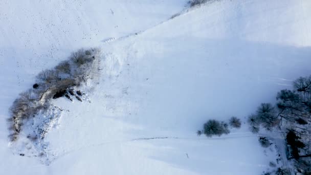 Luchtfoto Van Het Winterlandschap Panorama Van Het Bevroren Bos Winter — Stockvideo