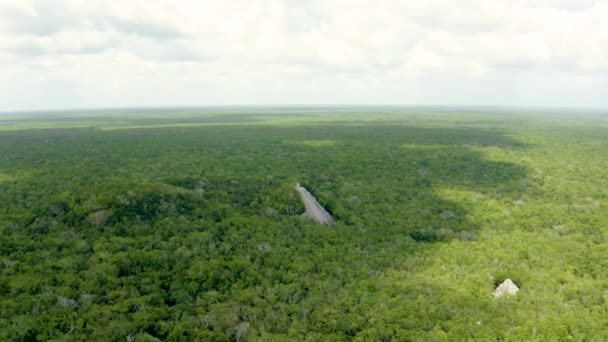 Flygfoto över Maya pyramiderna i djungeln i Mexiko nära Coba. — Stockvideo