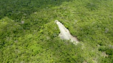 Coba yakınlarındaki Meksika ormanlarındaki Maya piramitlerinin hava görüntüsü..