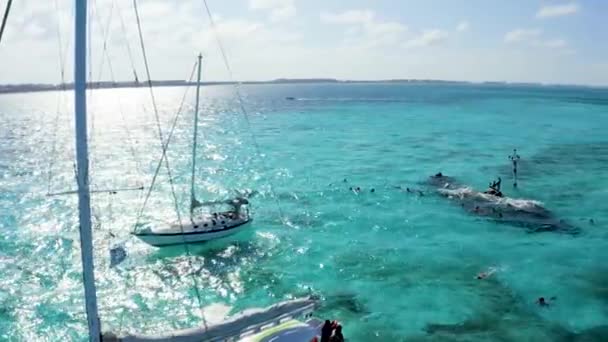 Aerial view of snorkeling in the Caribbean sea near the sinked ship. — Stock Video