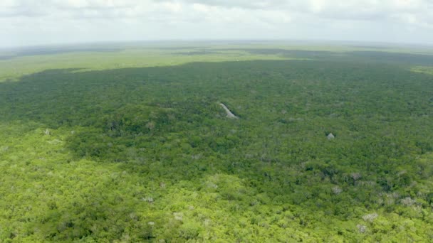 Vue aérienne de la jungle mexicaine d'en haut. — Video