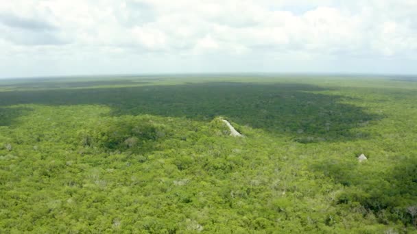 Vista aérea de las pirámides mayas en la selva de México cerca de Coba. — Vídeo de stock