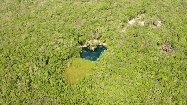 Güzel kalp şeklindeki Cenote 'nin havadan görünüşü — Stok video