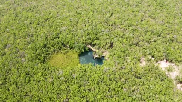 Aerial view of the beautiful heart shaped cenote — Stock Video