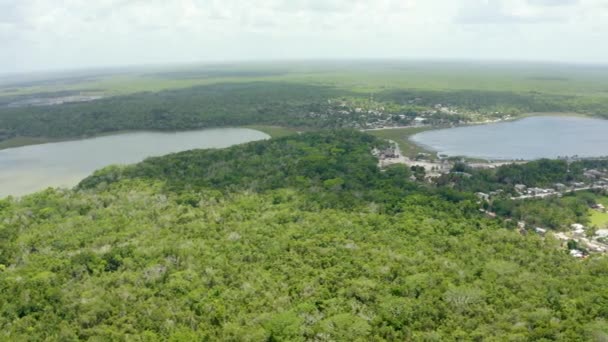 Flygfoto över den mexikanska djungeln ovanifrån. — Stockvideo