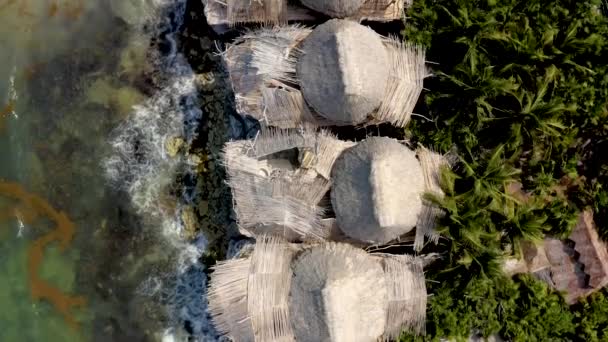 Prachtig uitzicht vanuit de lucht op de eco houten huizen midden in een jungle — Stockvideo