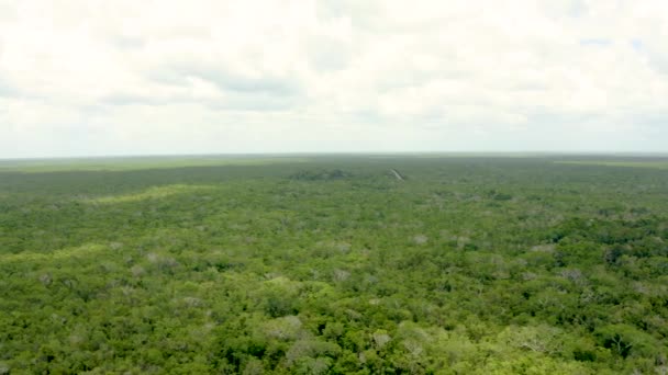 Letecký pohled na mayské pyramidy v mexické džungli poblíž Koby. — Stock video