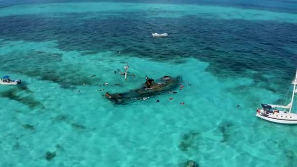 Letecký pohled na šnorchlování v Karibském moři v blízkosti potopené lodi. — Stock video