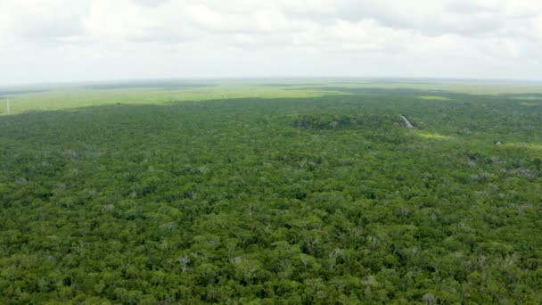 Vista aérea de la selva mexicana desde arriba. — Vídeos de Stock