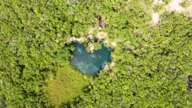 Güzel kalp şeklindeki Cenote 'nin havadan görünüşü 