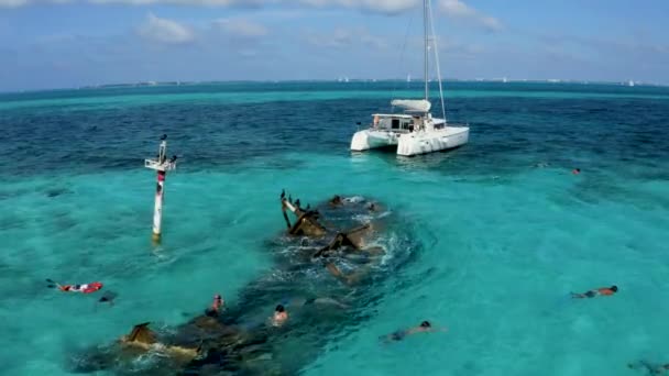 Повітряний вид підводного плавання в Карибському морі біля затонулого корабля.. — стокове відео