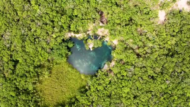 Veduta aerea del bellissimo cenote a forma di cuore — Video Stock
