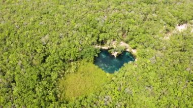 Meksika 'da bir ormanın ortasında, güzel kalp şeklindeki cenote' nin havadan görünüşü..