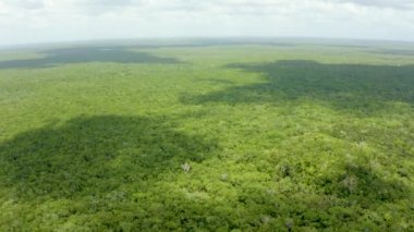 Maya piramidinin havadan görünüşü bir ormanın ortasında kayboldu. Chichen Itza piramit Tulum yakınlarındaki hava manzarası.