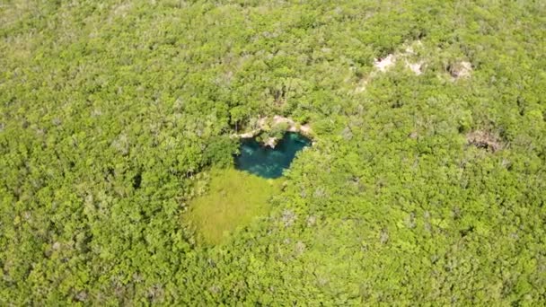 Widok Lotu Ptaka Piękny Cenote Kształcie Serca Środku Dżungli Meksyku — Wideo stockowe