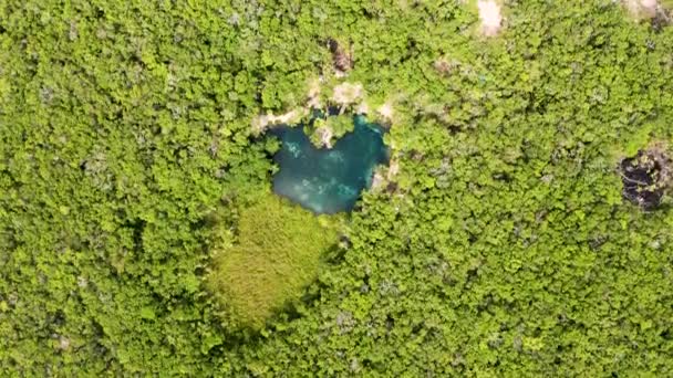 Letecký Pohled Krásnou Cenoturu Tvaru Srdce Uprostřed Džungle Mexiku — Stock video