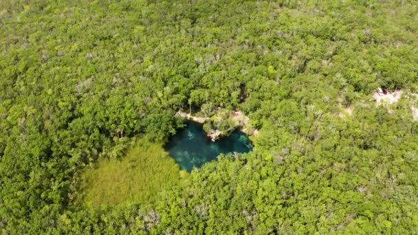 Letecký Pohled Krásnou Cenoturu Tvaru Srdce Uprostřed Džungle Mexiku — Stock video