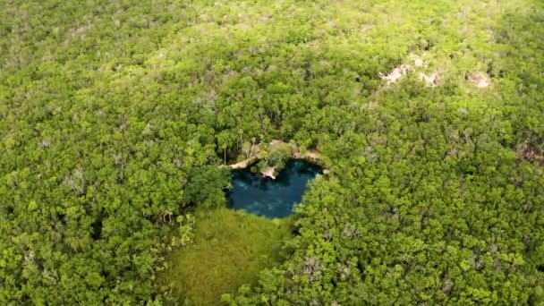 멕시코 가운데있는 아름다운 모양의 세노테를 공중에서 — 비디오