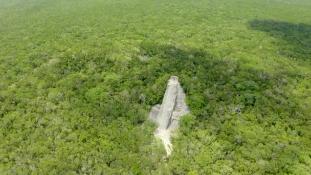 Luftaufnahme Der Maya Pyramide Verloren Inmitten Eines Dschungels Luftaufnahme Der — Stockvideo