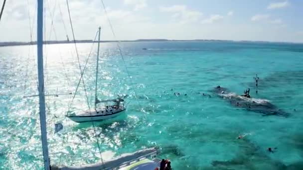 Turquoise Blue Water Caribbean Sea People Snorkling Shipwreck — Stock videók