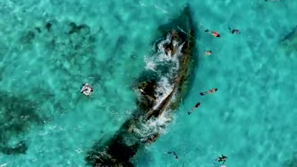 Schnorcheln Das Der Nähe Der Bahamas Der Karibik Havarierte Schiff — Stockvideo