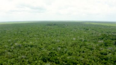 Coba yakınlarındaki Meksika ormanlarındaki Maya piramitlerinin hava görüntüsü. Coba, Yucatan, Meksika Piramidinin arkeolojik kazıları.