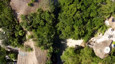 Güzel bir tropik cennet. Avuç içleri ve kumlu plajlarla Karayip manzarası. Meksika 'daki Tulum plajı üzerinde uçuyor..