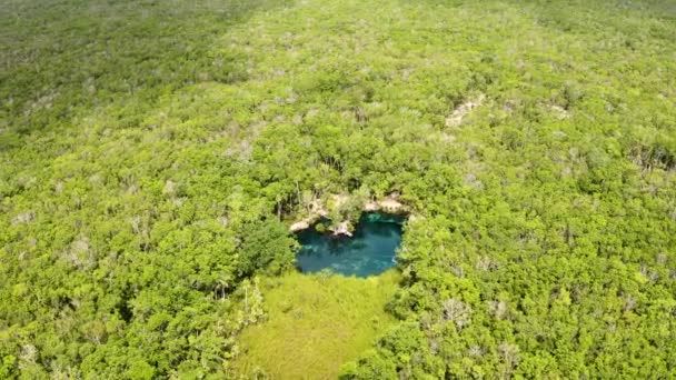 Widok Lotu Ptaka Piękny Cenote Kształcie Serca Środku Dżungli Meksyku — Wideo stockowe